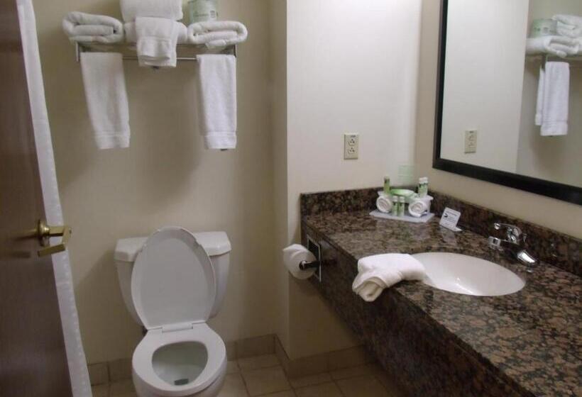 Стандартный Номер Кровать Кинг, Holiday Inn Express Hotel And Suites Marysville, An Ihg