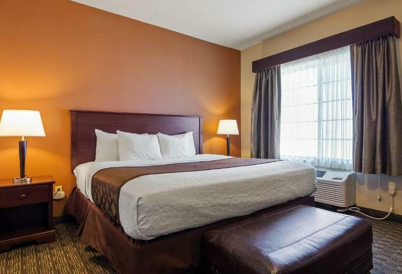 キングサイズベッドのスタンダードルーム, Best Western North Edge Inn