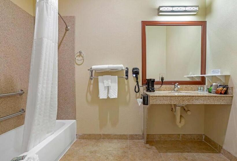 Номер Стандарт Кровать Кинг Адаптированный для Инвалидов, Best Western Texas City