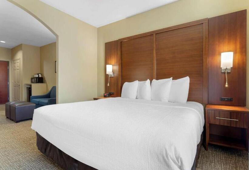 Люкс Кровать Кинг, Best Western Texas City