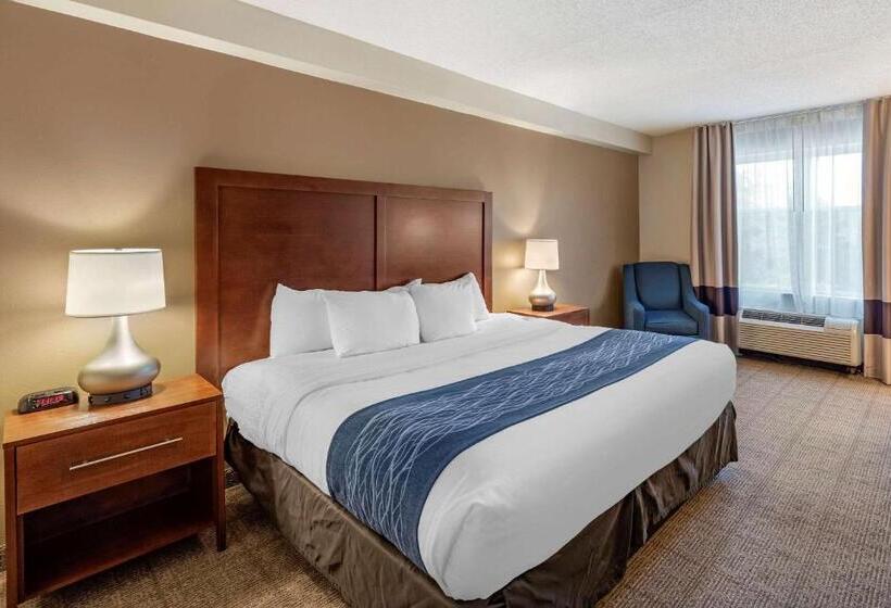 带大床的标准间, Comfort Inn & Suites Virginia Beach   Norfolk Airport