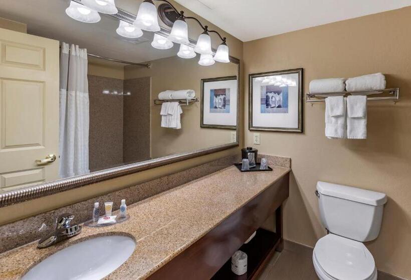 套房, Comfort Inn & Suites Virginia Beach   Norfolk Airport