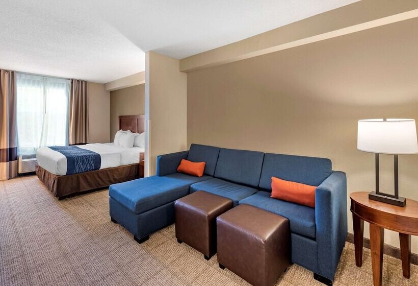 套房, Comfort Inn & Suites Virginia Beach   Norfolk Airport