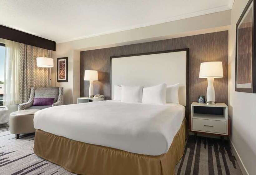 Номер Стандарт, Doubletree By Hilton Columbus Dublin