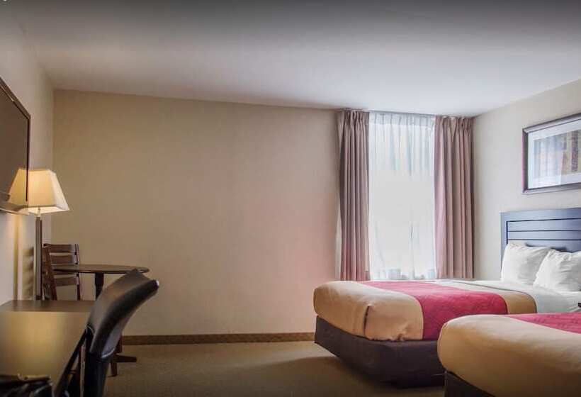 Номер Стандарт 2 Двуспальные Кровати, New Lodge