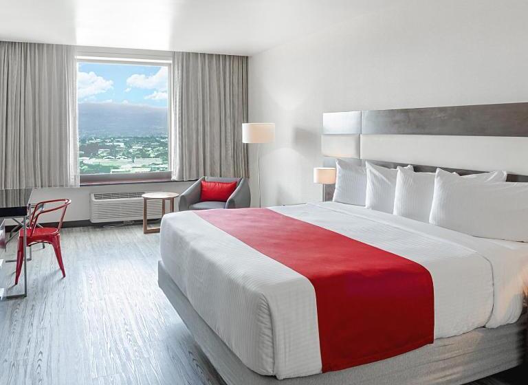 스탠다드 룸 킹사이즈 침대, Park Inn San Jose By Radisson