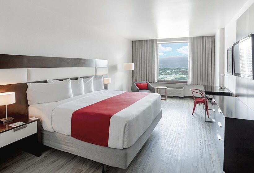 프리미엄 룸, Park Inn San Jose By Radisson