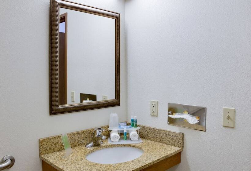 Suíte, Holiday Inn Express Hotel & Suites   Dubuque West, An Ihg