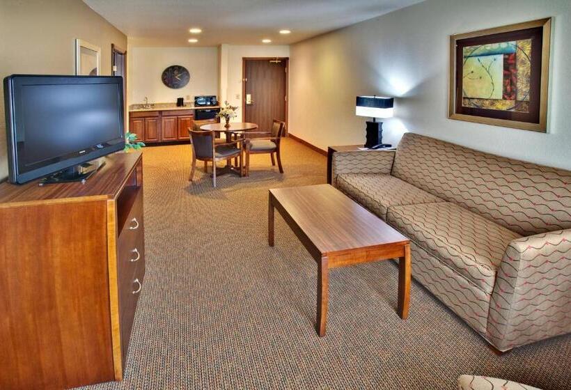 Люкс Кровать Кинг, Holiday Inn Express Hotel & Suites   Dubuque West, An Ihg