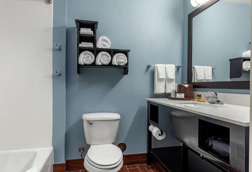 Люкс 2 Спальни, Best Western Plus North Odessa Inn & Suites