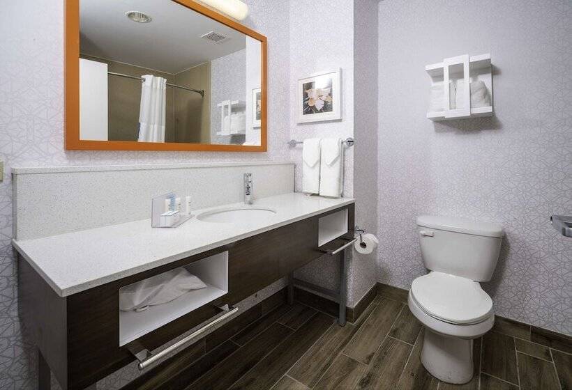 Номер Стандарт, Hampton Inn & Suites New Iberia Avery Island