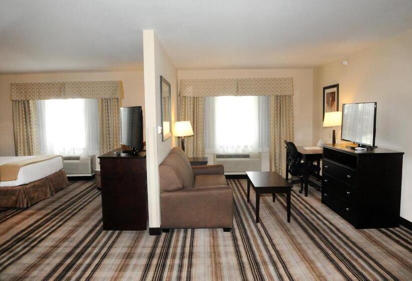 이그제큐티브 스위트, Holiday Inn Express & Suites Cambridge, An Ihg