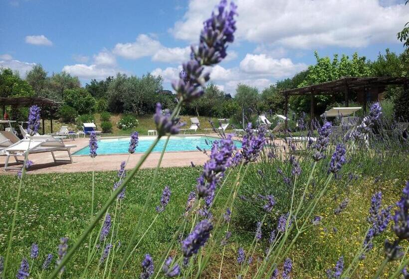 Дом 1 Спальня, Agriturismo La Torriola