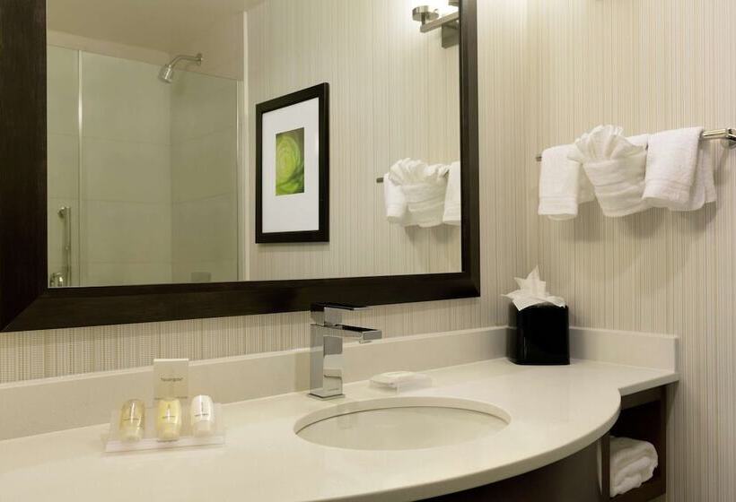 Номер Стандарт 2 Двуспальные Кровати, Hilton Garden Inn New York/manhattanmidtown East