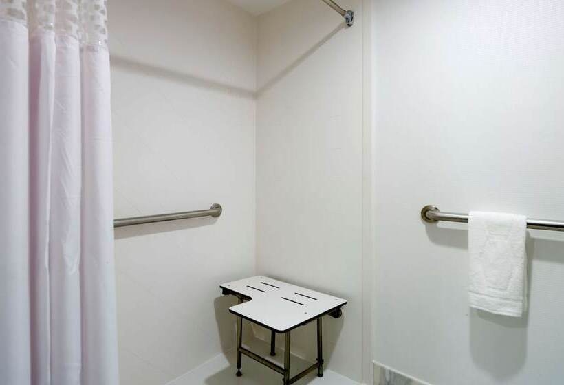 Номер Премиум, Hilton Garden Inn New York/manhattanmidtown East