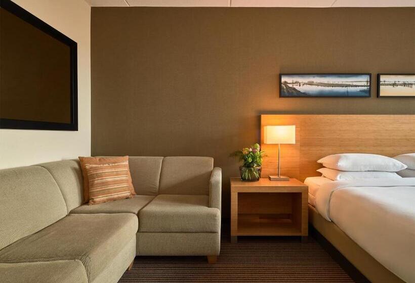 Стандартный Номер Кровать Кинг, Hyatt Place Amsterdam Airport