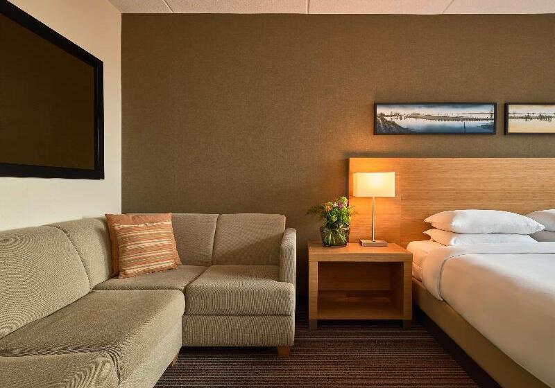 Стандартный Номер Кровать Кинг, Hyatt Place Amsterdam Airport