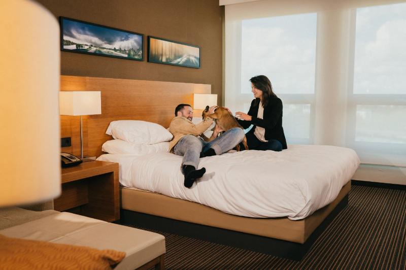 Стандартный Номер Кровать Кинг, Hyatt Place Amsterdam Airport