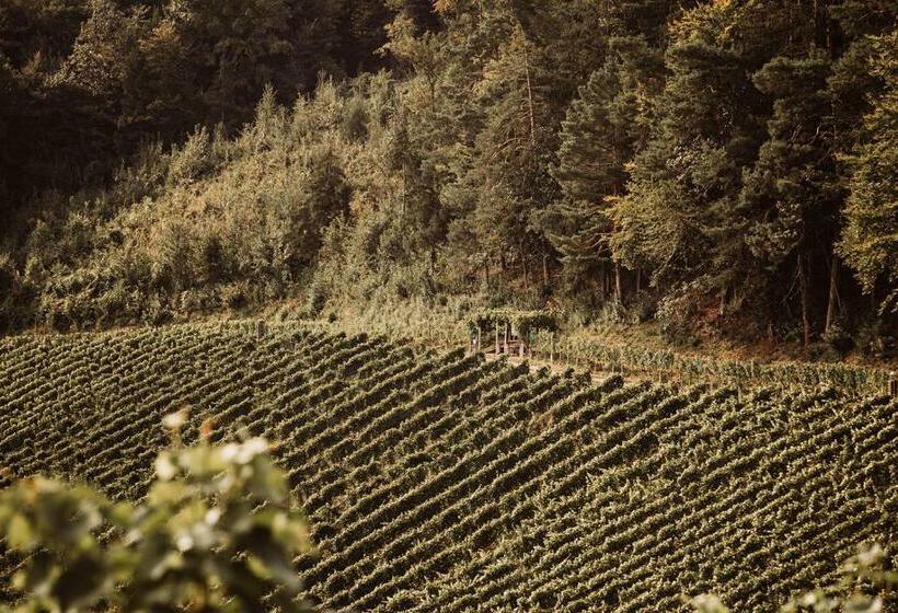 اتاق استاندارد برای معلولان, Weingut Kollerhof Am Eichberg