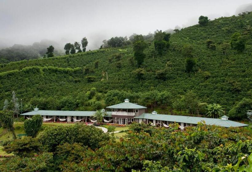 Номер Deluxe Кровать Кинг, Finca Lerida Coffee Plantation And Boutique