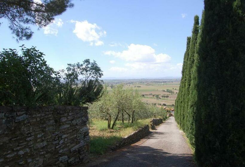 Апартаменты 1 Спальня, La Maestà Tuscan Sun