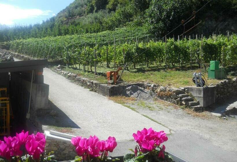 Номер Стандарт, La Vita In Campagna