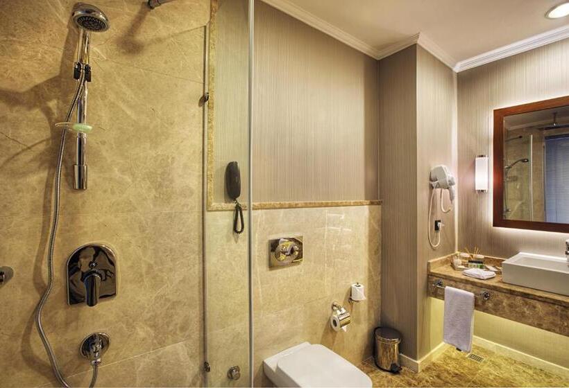 اتاق لوکس یک تخته, Dedeman Erbil Hotel City Center