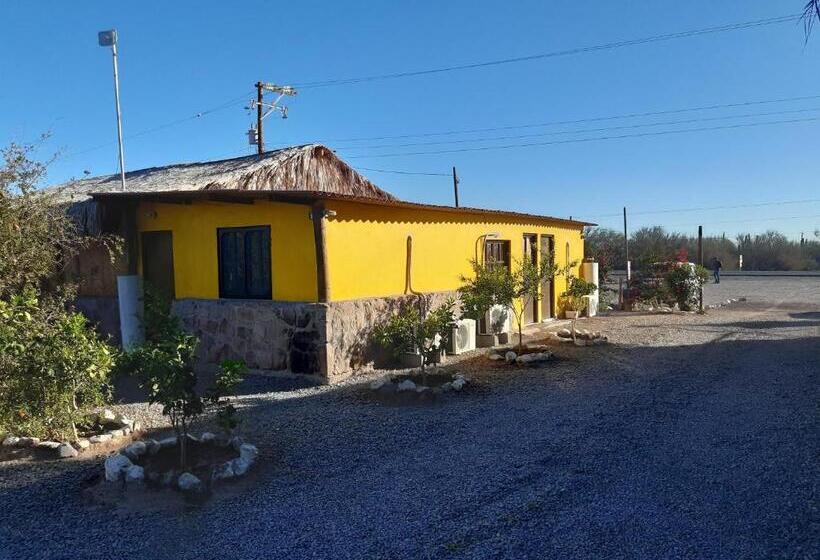 Номер Стандарт 2 Двуспальные Кровати, Loreto La Regional
