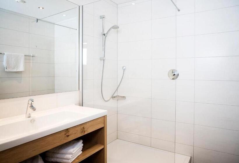 آپارتمان دوبلکس 1 خوابه, Aparthotel Schindlhaus Und Koia Premium Apartments