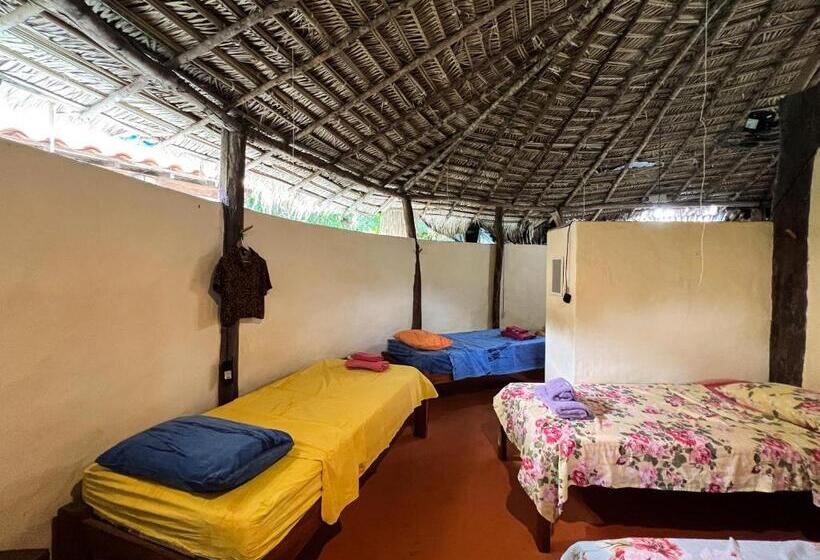 공동 객실, Hostel Moreré