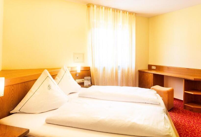 스탠다드 룸, Bodensee Hotel Storchen