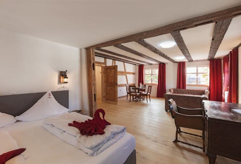 침실 2개 아파트, Bodensee Hotel Storchen