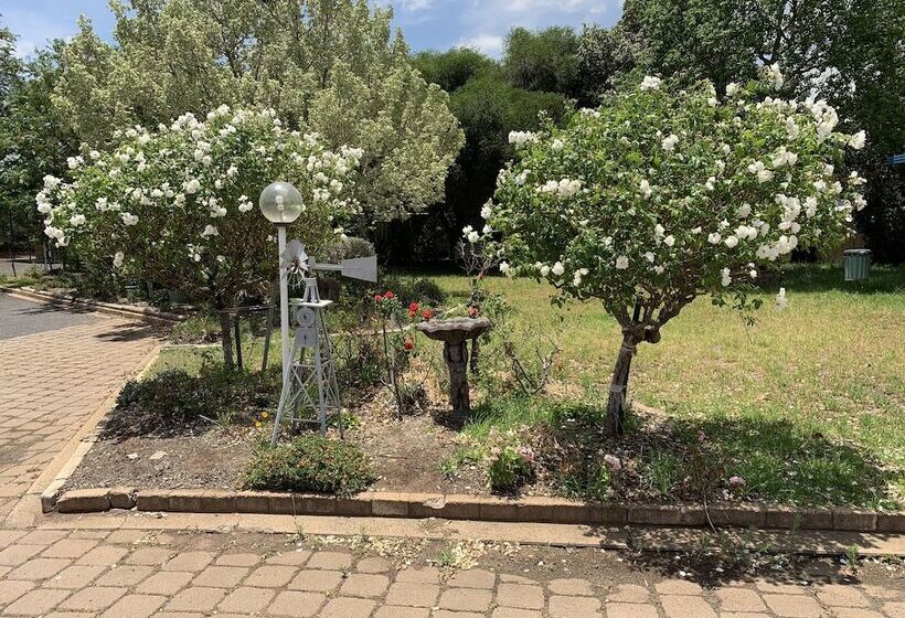 标准间, Orana Windmill Motel