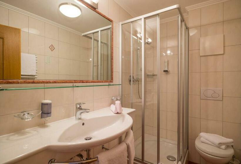 Номер Стандарт, Appartement Hotel Garni Matthäuserhof