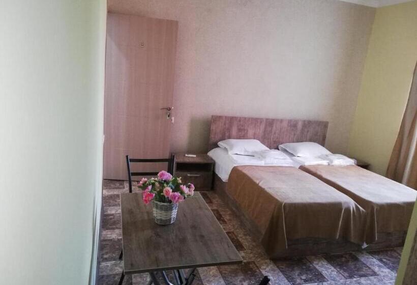 اتاق اکونومی, Naziti House