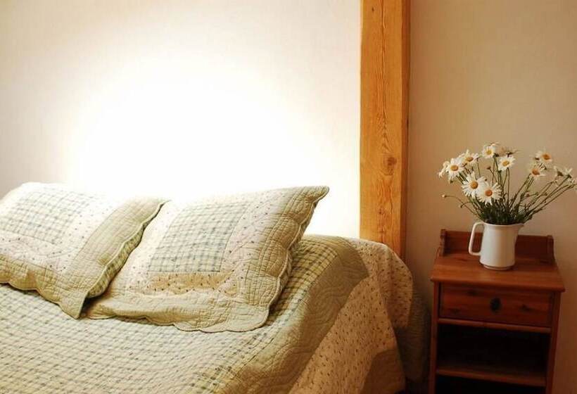 Номер Стандарт, Kolory Guest House