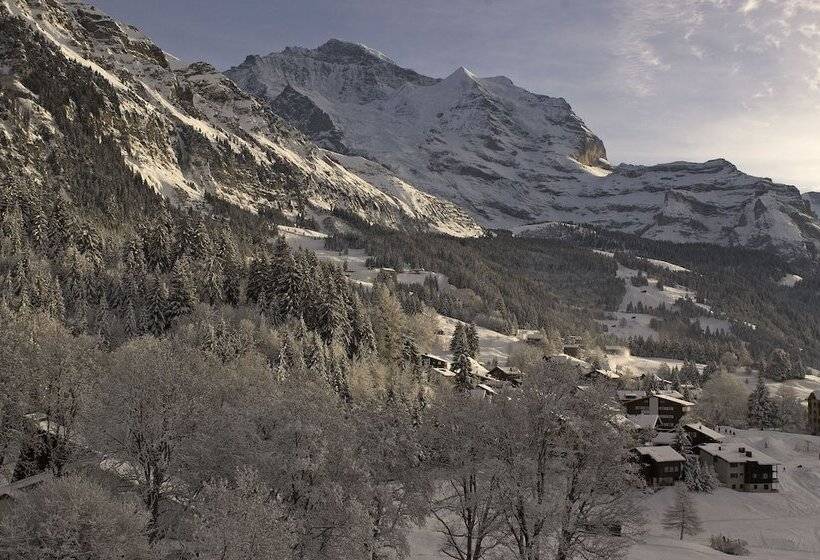 سوئیت جونیور با چشم‌انداز کوهستان, Beausite Park Hotel & Spa