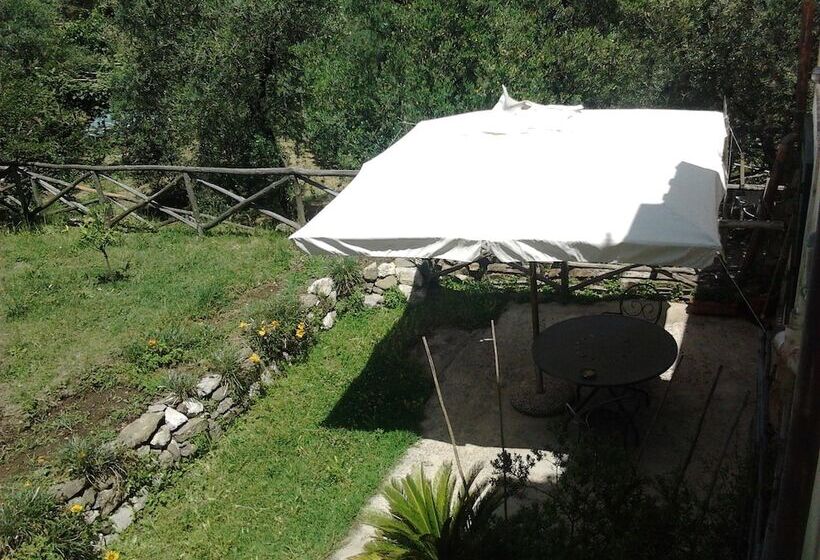 Апартаменты Basic 1 Спальня, Gli Ulivi Agriturismo