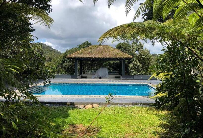 Люкс, Taj Madikeri Resort & Spa Coorg