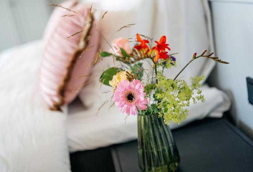 套房, Myhotel Steenwijk   Giethoorn