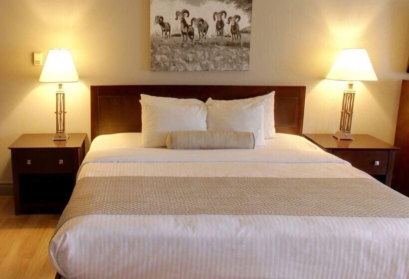 إستوديو قياسى, Days Inn By Wyndham Golden