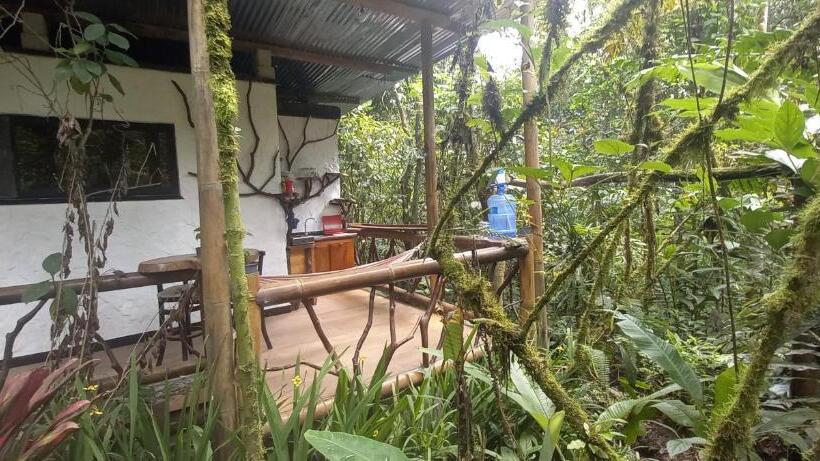 Люкс Повышенной Комфортности, Cantalarana, Antes Wikiri Lodge