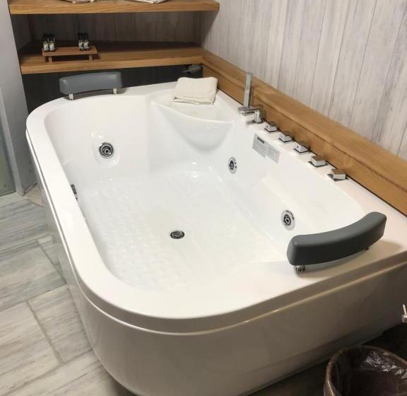 Номер Стандарт, Valeni Boutique Hotel & Spa