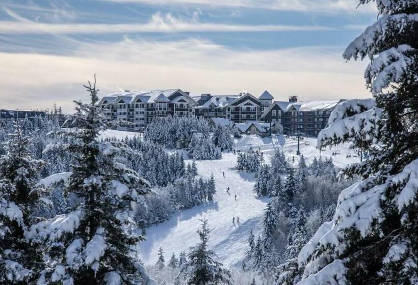 Апартаменты 1 Спальня, Snowshoe Ski In & Ski Out At Silvercreek Resort   Family Friendly, Jacuzzi, Hot Tub, Mountain Views