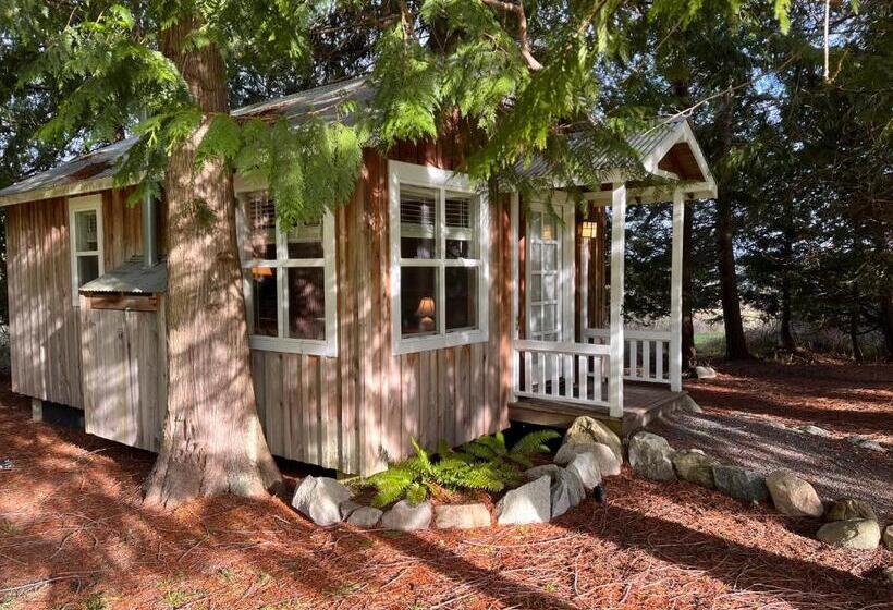 Люкс Повышенной Комфортности, Lopez Farm Cottages & Tent Camping