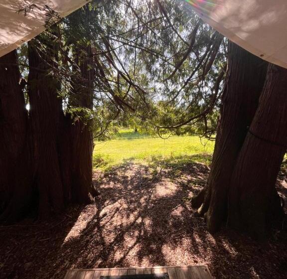 Standard Tent, Lopez Farm Cottages & Tent Camping