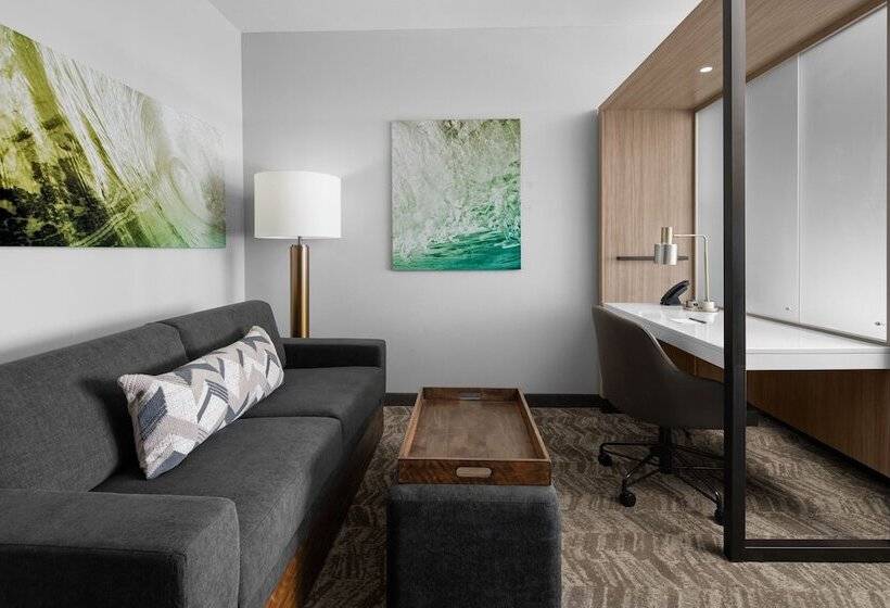바다 전망 스위트, Springhill Suites By Marriott Myrtle Beach Oceanfront