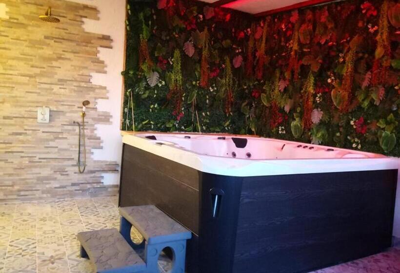 Номер Deluxe, V&spa 2 Chambres D Hôtes Avec Spa Privatif Dont Une Avec Un Sauna