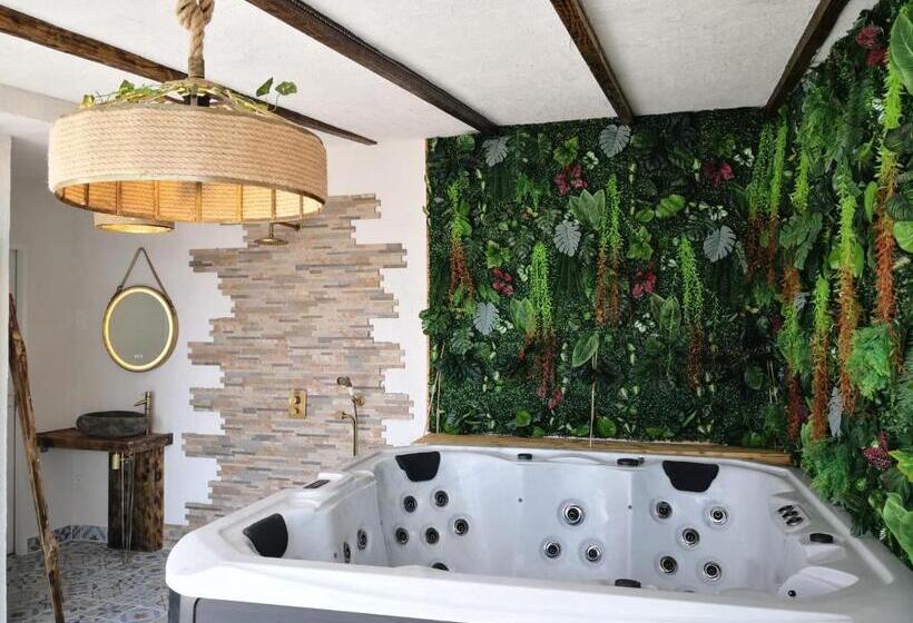 Номер Deluxe, V&spa 2 Chambres D Hôtes Avec Spa Privatif Dont Une Avec Un Sauna