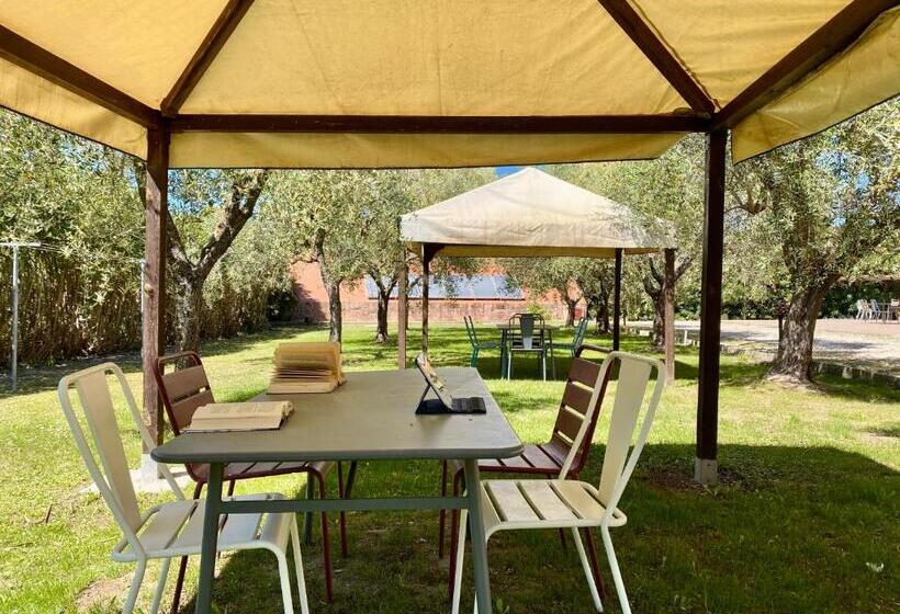 Апартаменты Superior 1 Спальня, Residence Terme Isola D Elba Srl